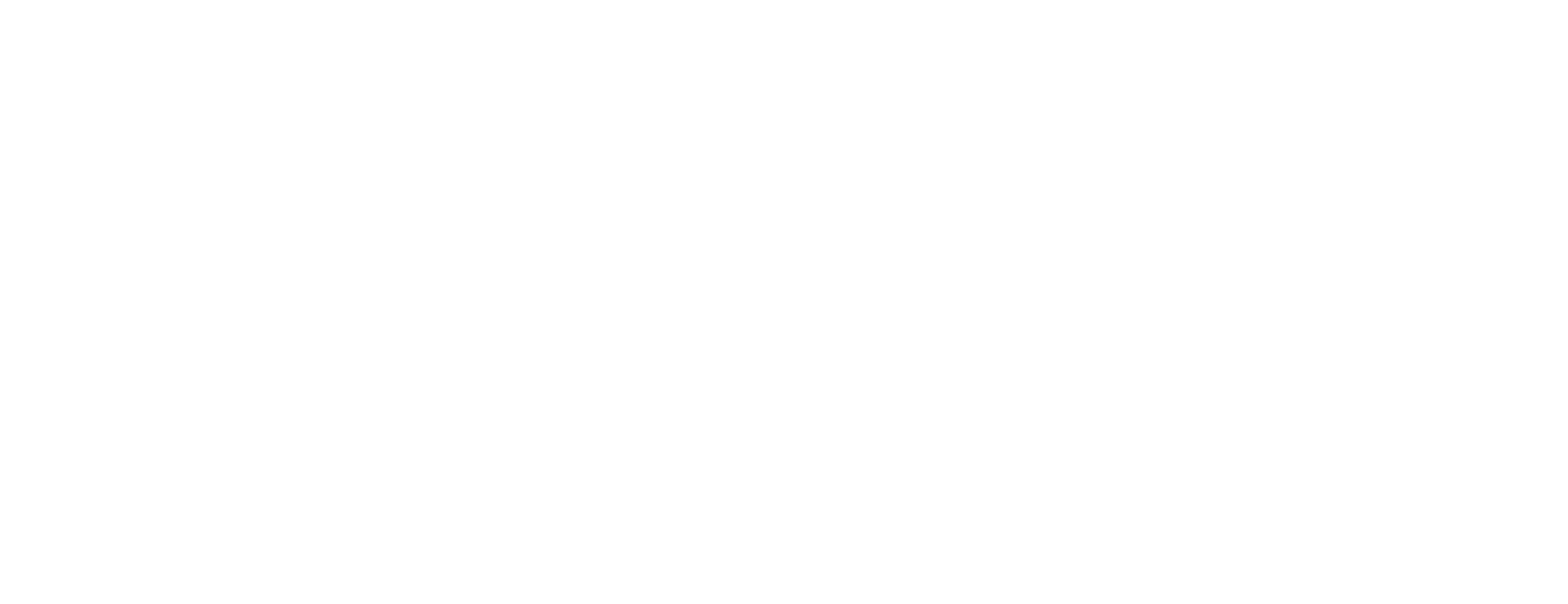 FDP – Freie Demokraten